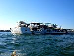 bellavitaboatclub056049.jpg