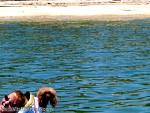 bellavitaboatclub056046.jpg