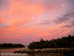 bellavitabarbi1206062.jpg