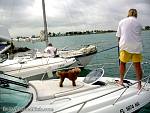 bellavitabarbi0307135.jpg