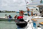 bellavitajungle0407006.jpg