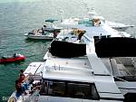 bellavitasxyfly0407066.jpg