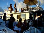 bellavitabarbi1207049.jpg