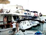 bellavitabarbi1207059.jpg