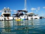 bellavitabarbi1207126.jpg