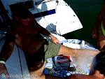 bellavitabarbi1207139.jpg