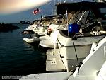 bellavitabarbi0208116.jpg