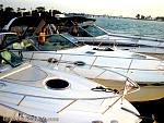 bellavitabarbi0308196.jpg