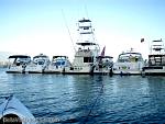 bellavitabarbi0408163.jpg