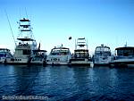 bellavitabarbi0408164.jpg
