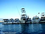 bellavitabarbi0408165.jpg