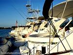 bellavitabarbi0408167.jpg