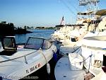 bellavitabarbi0408168.jpg