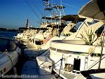 bellavitabarbi0408169.jpg