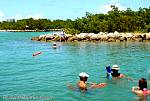 bellavitajungle0608124.jpg