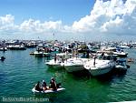 bellavitabarbi1008036.jpg
