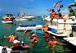 bellavitajungle1008019.jpg