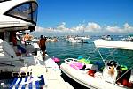 bellavitajungle1008020.jpg