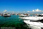 bellavitajungle1008033.jpg