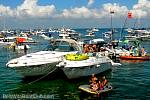 bellavitajungle1008037.jpg