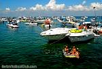bellavitajungle1008039.jpg