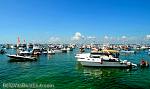 bellavitajungle1008040.jpg