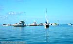 bellavitajungle1008053.jpg