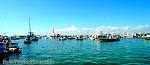 bellavitajungle1008060.jpg
