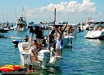 bellavitajungle1008066.jpg