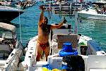 bellavitajungle1008070.jpg