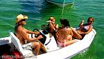 bellavitajungle1008077.jpg