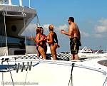 bellavitajungle1008080.jpg