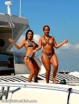bellavitajungle1008081.jpg