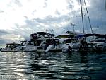 bellavitabarbi1108055.jpg