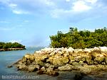 bellavitabarbi0409106.jpg