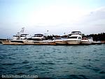 bellavitabarbi0409116.jpg