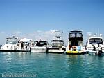 bellavitabarbi0409164.jpg