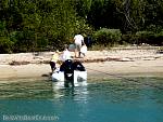 bellavitabarbi0409182.jpg