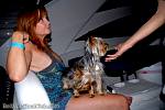 bellavitajungle0409004.jpg