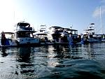 bellavitabarbi0709114.jpg