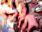 bellavitabarbi0809141.jpg