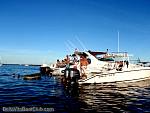 bellavitabarbi1009115.jpg