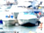 bellavitaforever1009090.jpg