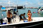 bellavitajungle1009060.jpg