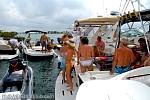 bellavitajungle0410014.jpg