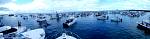 bellavitabarbicdr11042.jpg