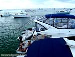 bellavitabarbicdr11043.jpg