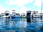 bellavitabarbi0411177.jpg