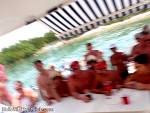 bellavitabarbi0711278.jpg