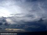 bellavitabarbi0811488.jpg